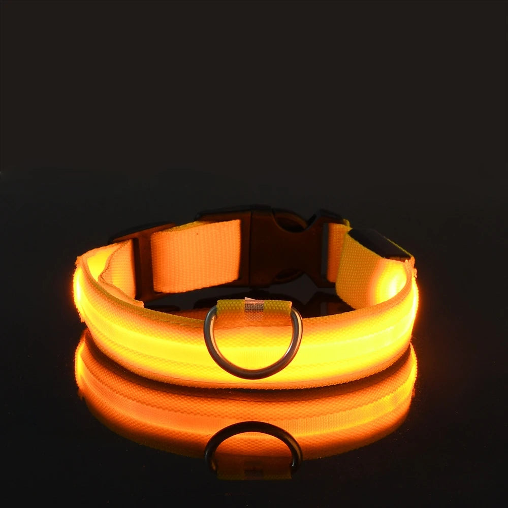 Flashing Glow In The Dark Dog Leash for Dogs