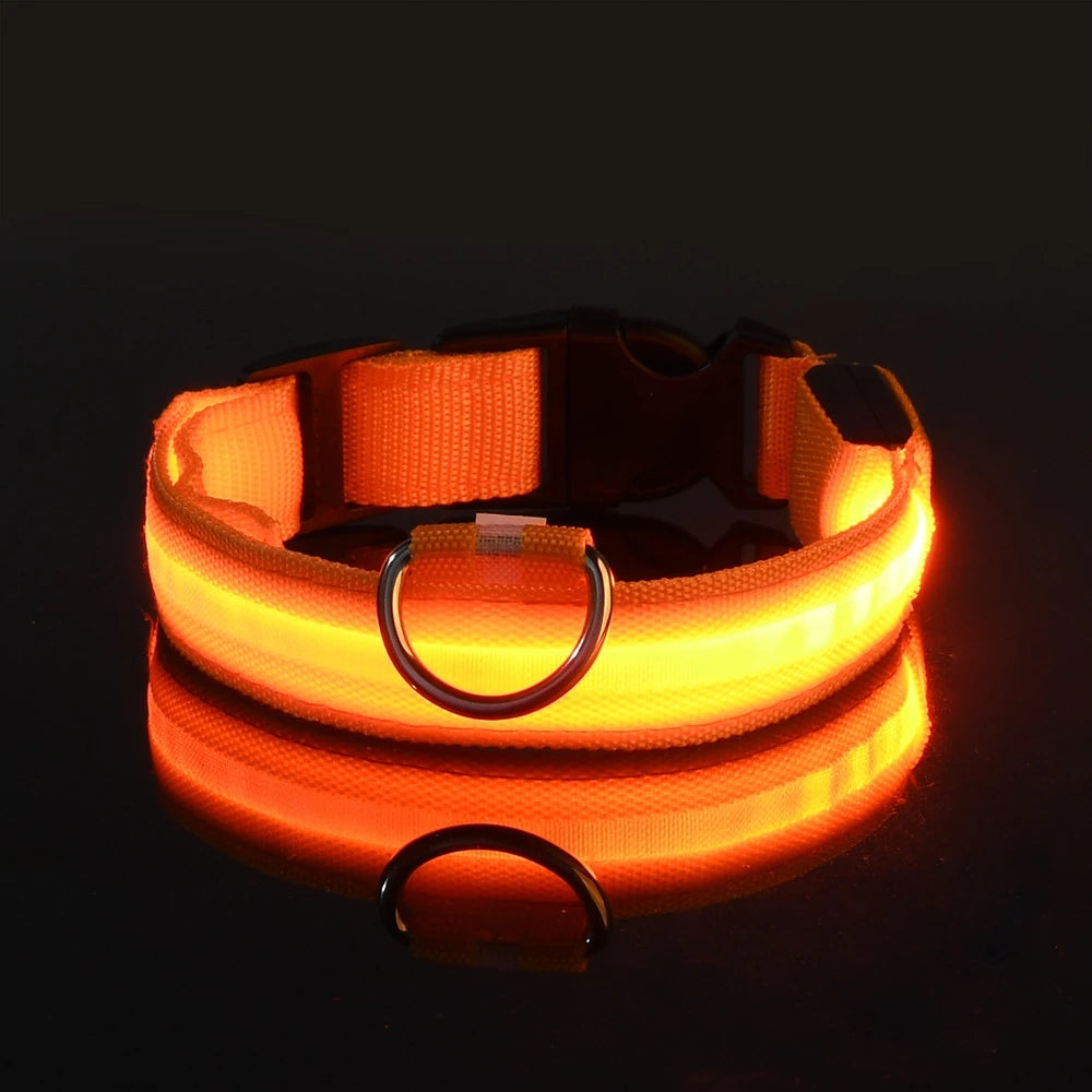 Flashing Glow In The Dark Dog Leash for Dogs