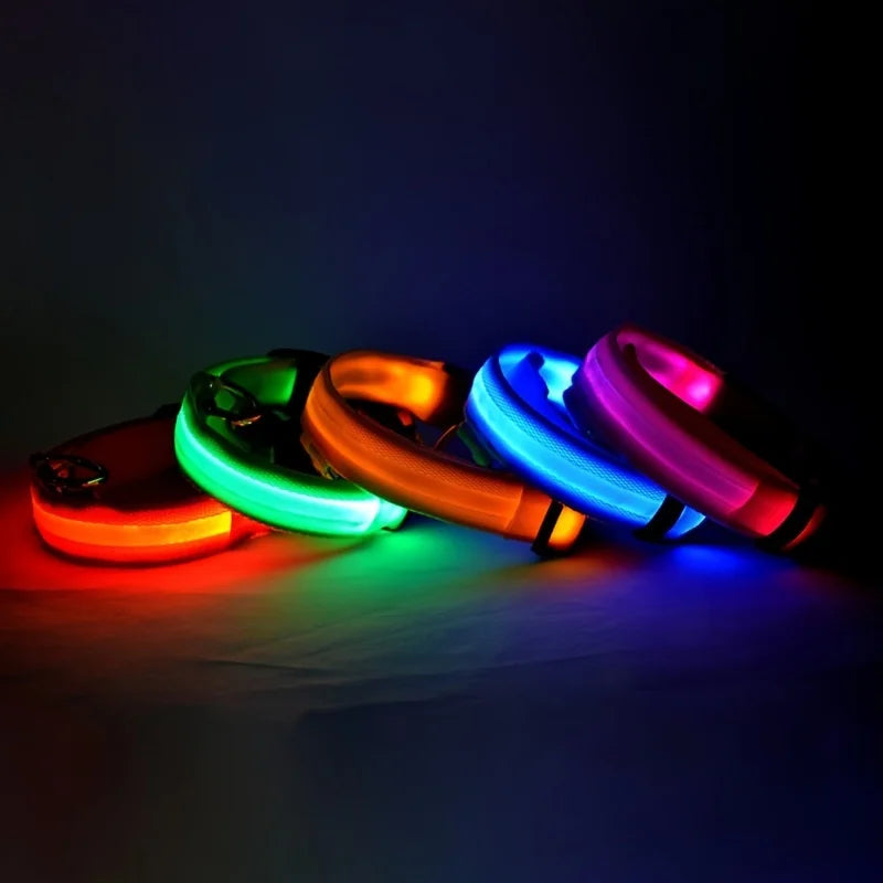 Flashing Glow In The Dark Dog Leash for Dogs