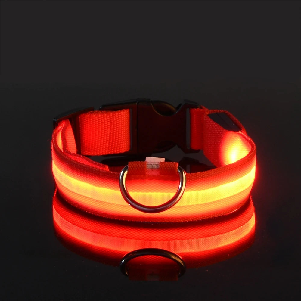 Flashing Glow In The Dark Dog Leash for Dogs