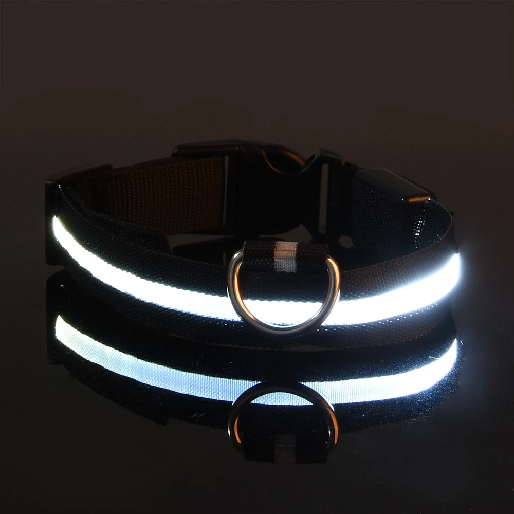 Flashing Glow In The Dark Dog Leash for Dogs