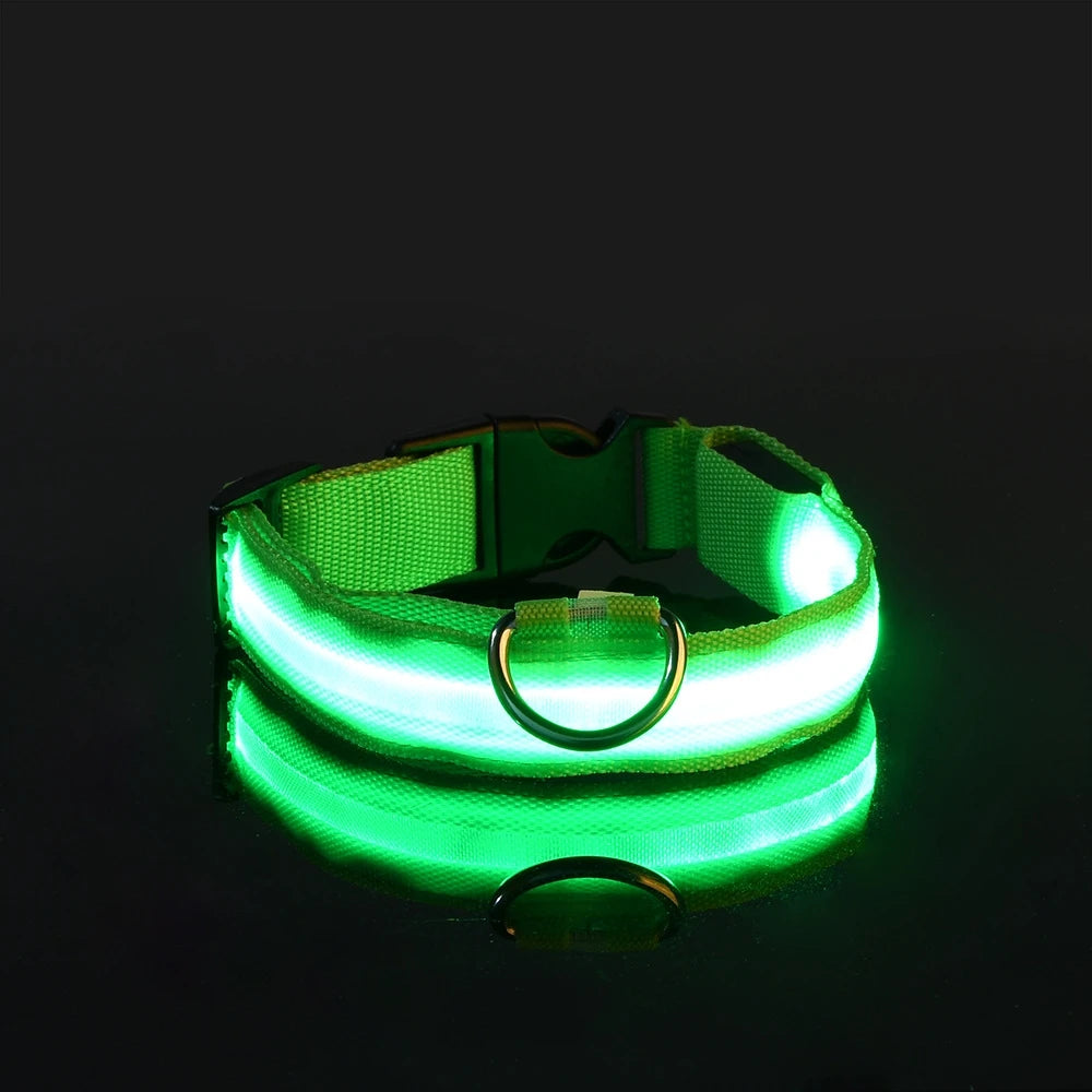 Flashing Glow In The Dark Dog Leash for Dogs