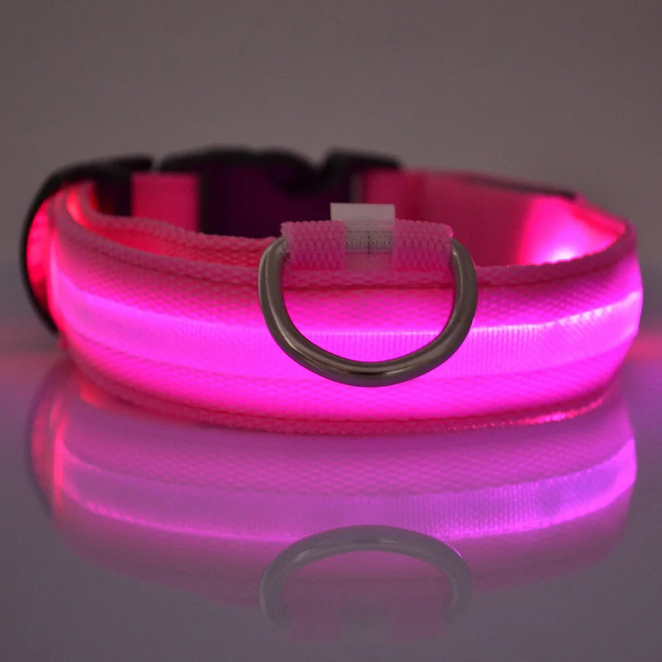 Flashing Glow In The Dark Dog Leash for Dogs