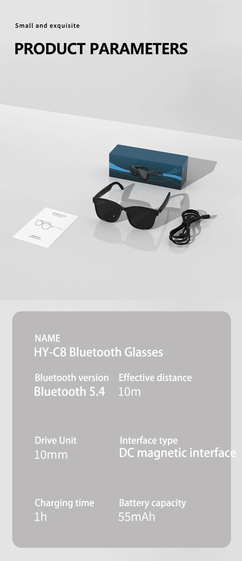 Smart Glasses (Translation/Earphones)